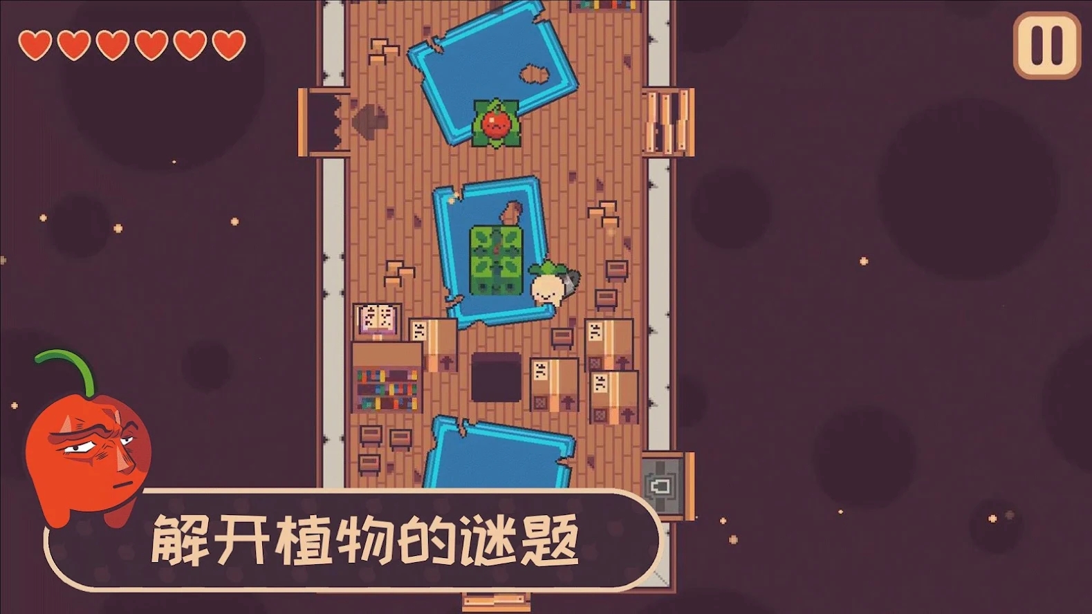 大头菜小子偷税了图2