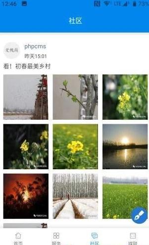 爱槐荫图1