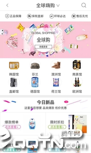 猫果店图3