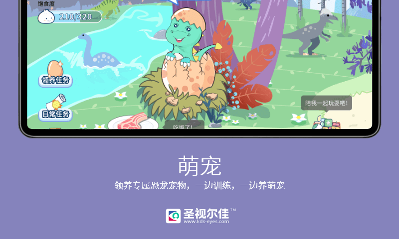 圣视尔佳弱视训练HD软件安卓官方版