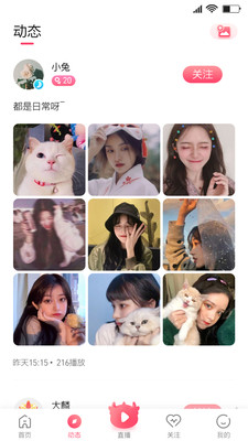 大麟商娱图3
