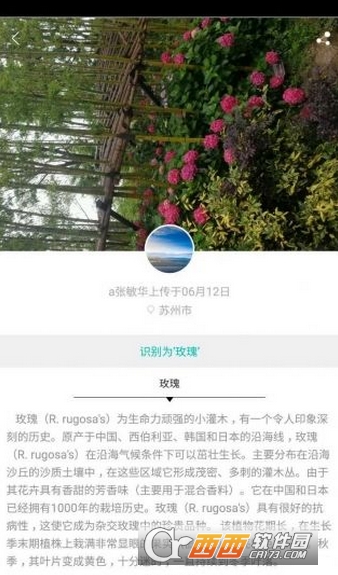 拈花惹草图2