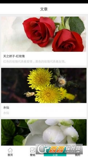 拈花惹草图1