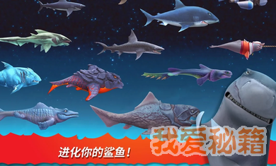 饥饿鲨进化欢乐版古巨齿鲨图3