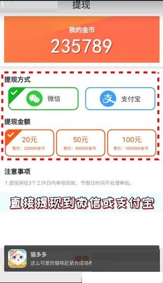猫多多图2