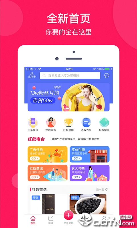 小红蚁图1