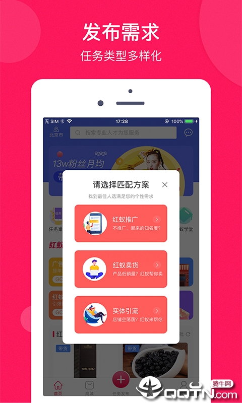 小红蚁图2