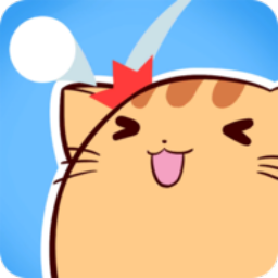 猫咪阵地