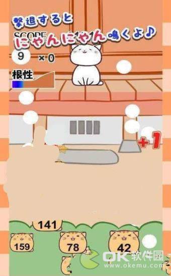 猫咪阵地