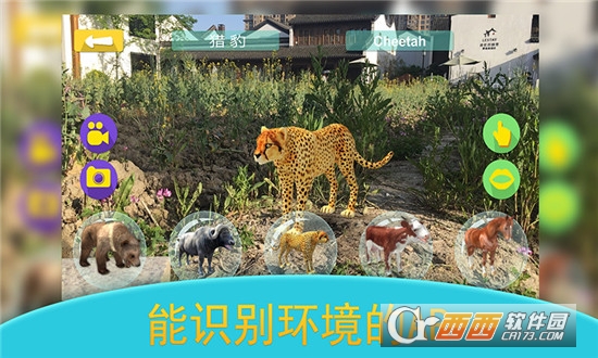 钛星猫