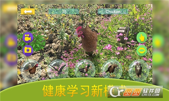 钛星猫图3