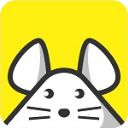 猫耳