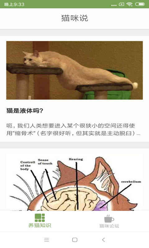 猫咪生活圈图4