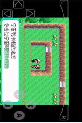 口袋妖怪红宝石手机版图2