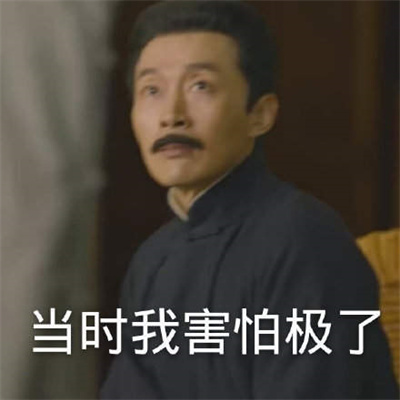 觉醒年代表情包图片图3