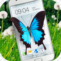 Butterfly in Phone lovely joke下载