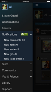 steam app