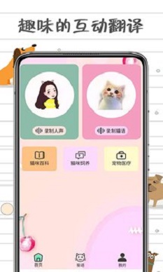 小猫交流器图2