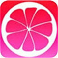 蜜柚app汅api免费新版