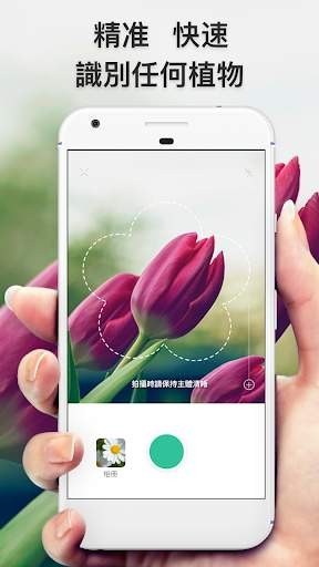 picturethis花卉鉴定应用图2