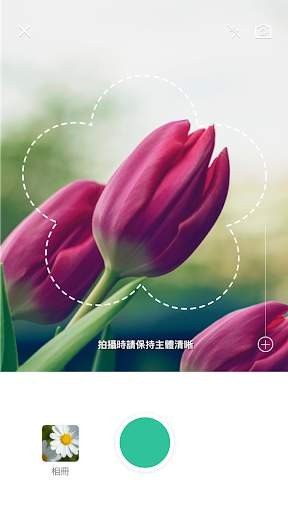 picturethis花卉鉴定应用图3
