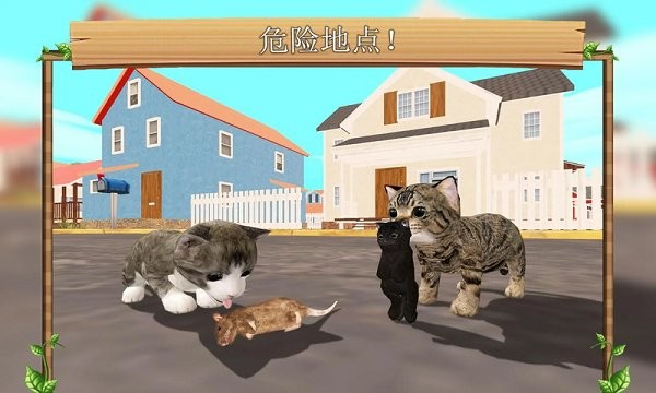 猫生活模拟器图1