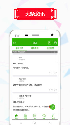 天天种菜红包版