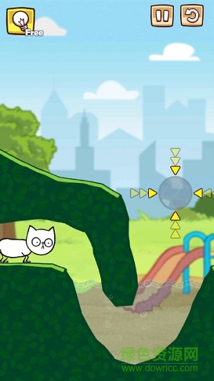 遗弃的猫