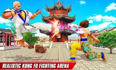 功夫格斗领域图2