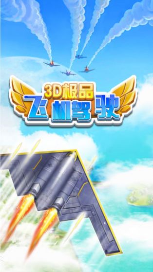 3D极品飞机驾驶游戏图2