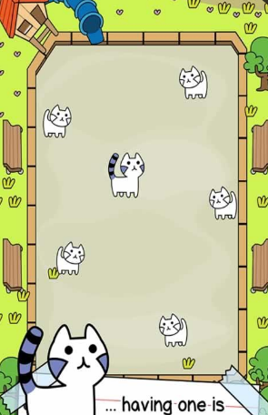 猫咪进化图3