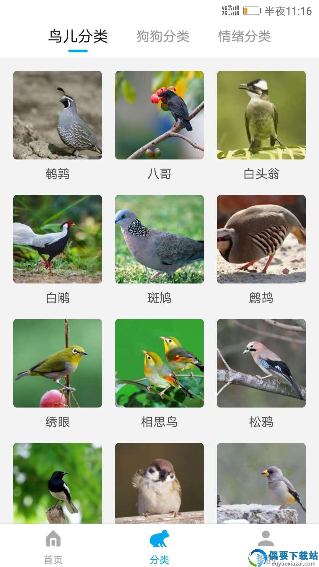 动物翻译器全部动物