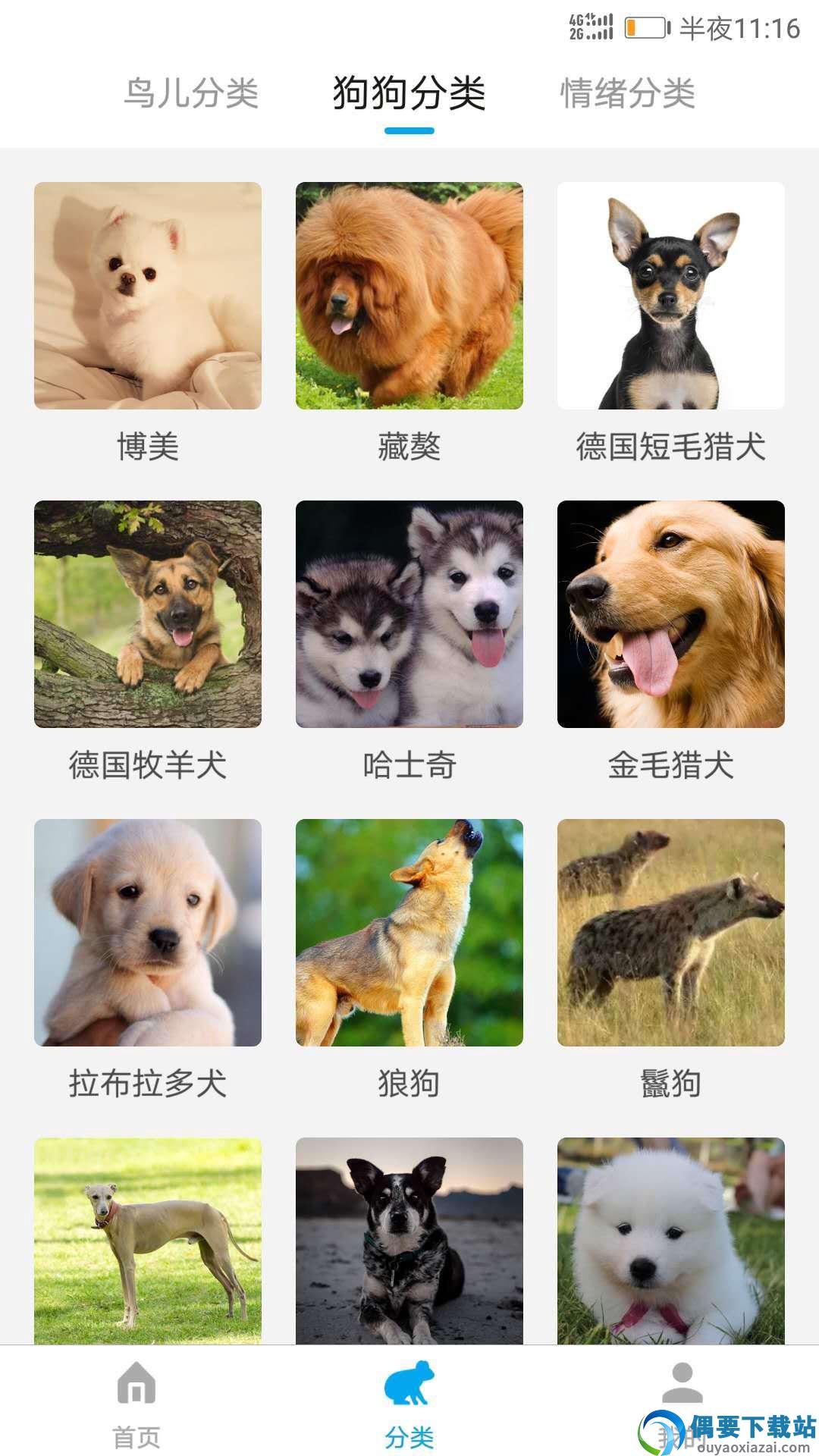 动物翻译器全部动物