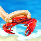 赶海王中王