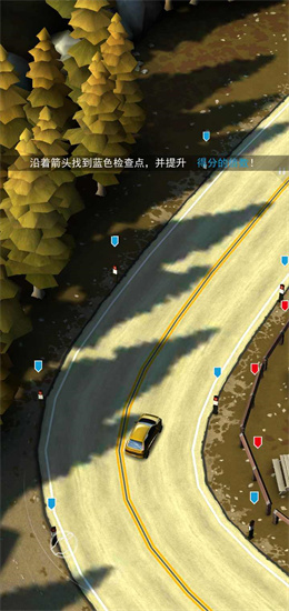 飙车飞盗图4