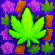 美味的花蕾游戏