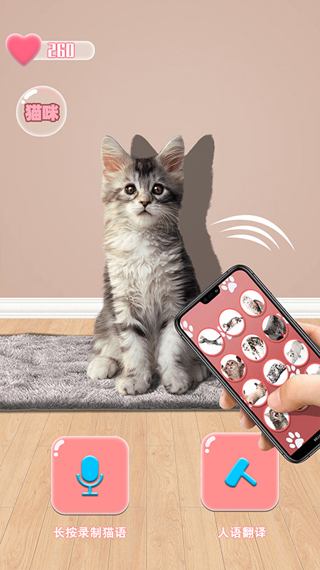 猫猫语言转换器图2
