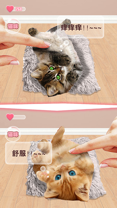 猫猫语言转换器图3
