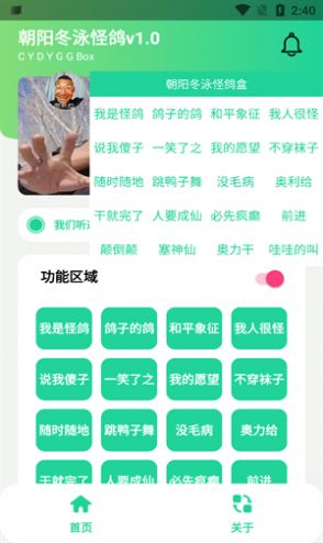 冬泳怪鸽盒语音包app