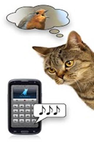 猫语翻译软件图2