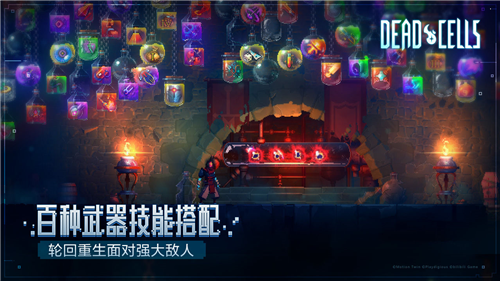 重生细胞小米版
