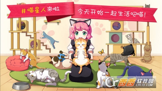 猫猫咖啡面包屋图3