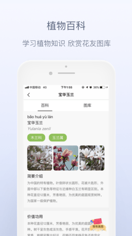 花伴侣图1