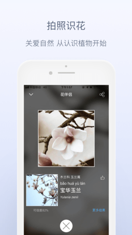 花伴侣图3