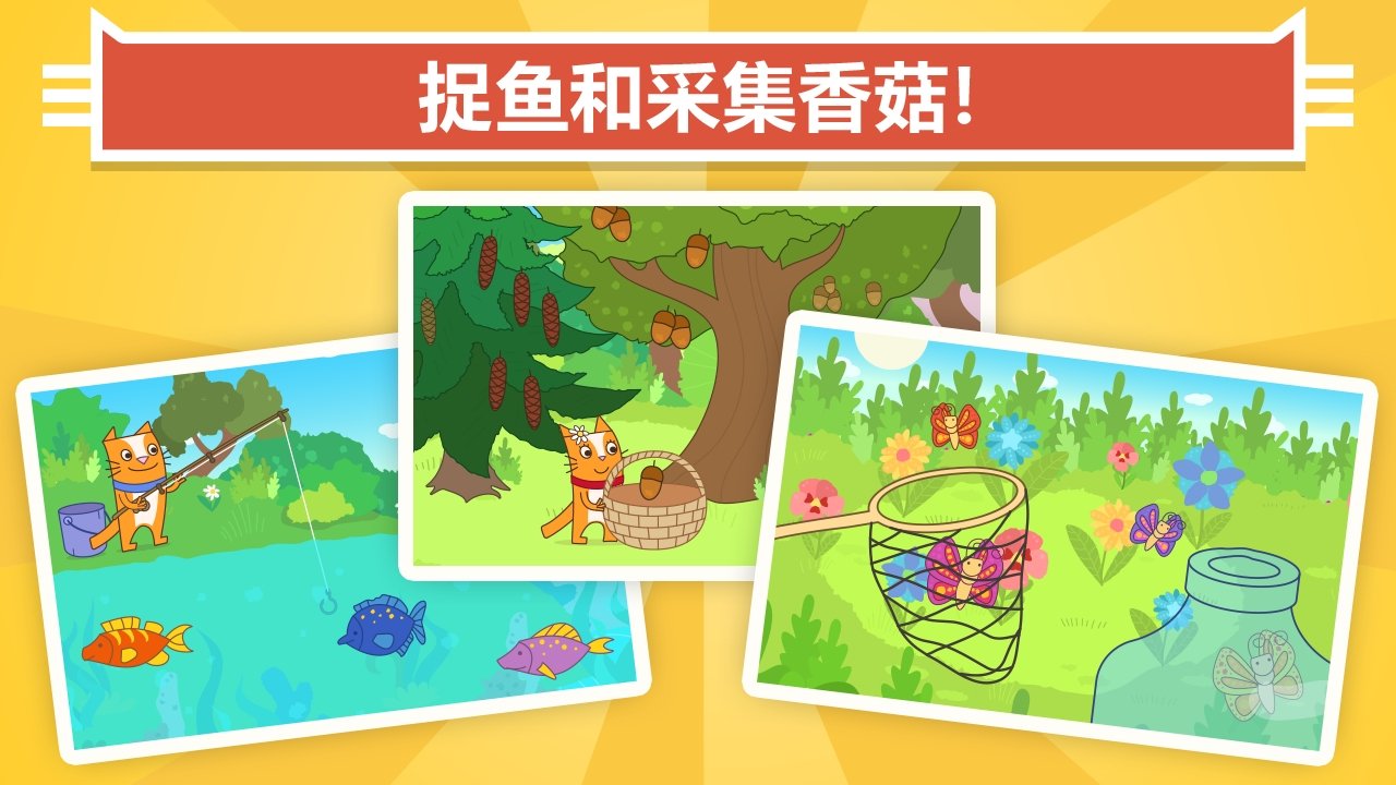 宠物猫图3