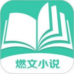 燃文小说最新