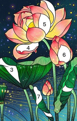 乐涂数字填色2024最新版图3