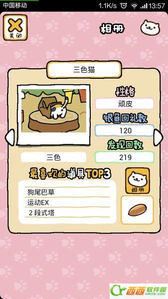 猫咪后院图4