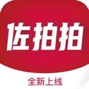 佐拍拍图标