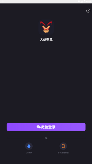 大圣电竞app官方版